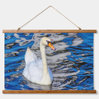Swan with Reflections