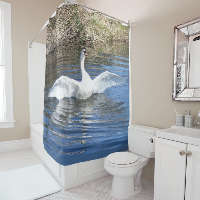 Swan with Spread Wings in Water Shower Curtain  (In Situ)