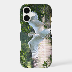 Swan with Wings Spread