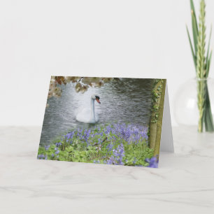 Swan  Woodland And Blossom Blank Note Card