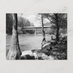 Swann Bridge Postcard