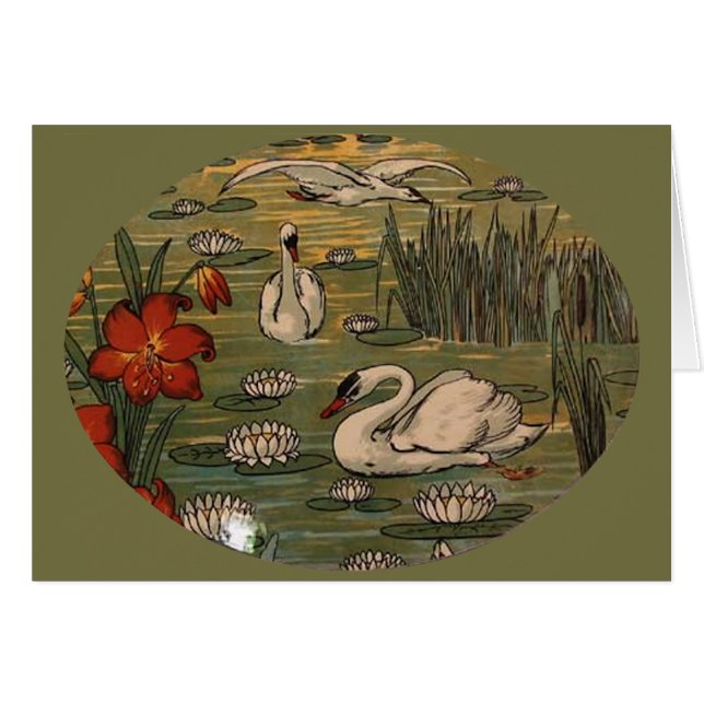 Swans (Front Horizontal)