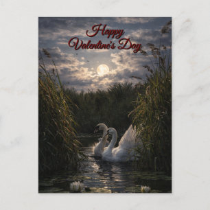 Swans Among Reeds In Moonlight Valentine's Day Holiday Postcard