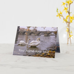 Swans and Charles bridge in Prague Card