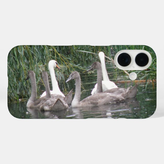 Swans and Cygnets Case-Mate iPhone Case (Back (Horizontal))