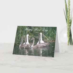 Swans and Cygnets Custom Birthday Card