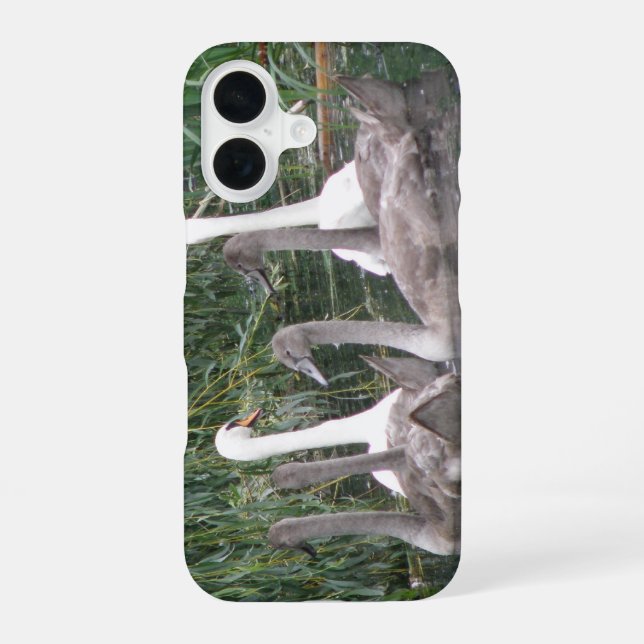 Swans and Cygnets iPhone 16 Case (Back)