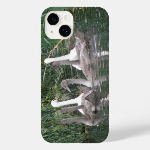 Swans and Cygnets iPhone Case
