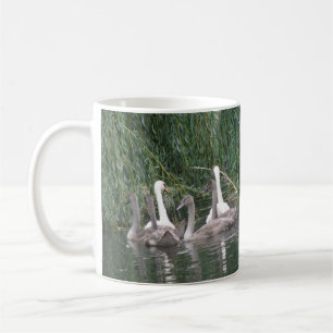 Swans and Cygnets Mug