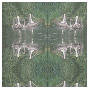 Swans and Cygnets Patterned Animal Fabric