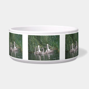 Swans and Cygnets Pet Bowl