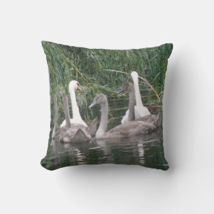 Swans and Cygnets Pillow