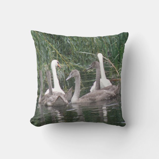 Swans and Cygnets Pillow (Front)