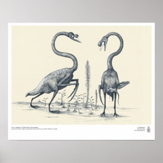 Swans as Imagined by Future Palaeontologists Poster