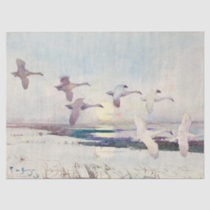 Swans at Moonlight by Frank Weston Benson Tissue Paper
