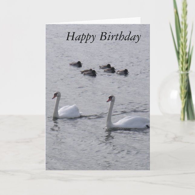 Swans Birthday Card (Front)