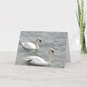 Swans Blank Greeting Card
