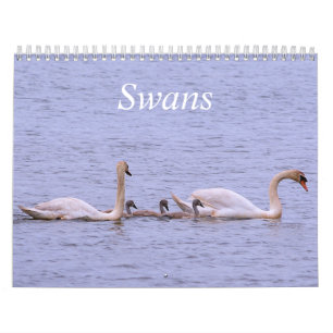 Swans Calendar