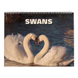 Swans Calendar