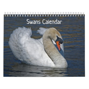 Swans Calendar