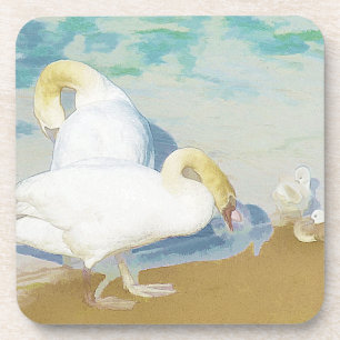 SWANS COASTER