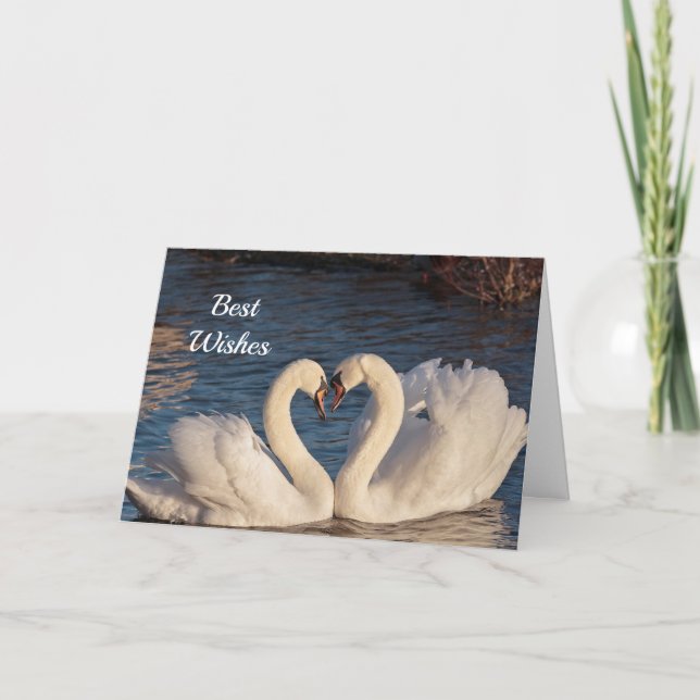 Swans Congratulations Wedding Card (Front)