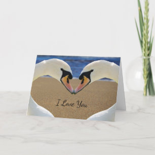 Swans Forming a Heart Valentine's Day Card