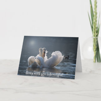 Swans greeting card
