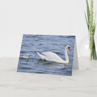 Swans Greeting Card