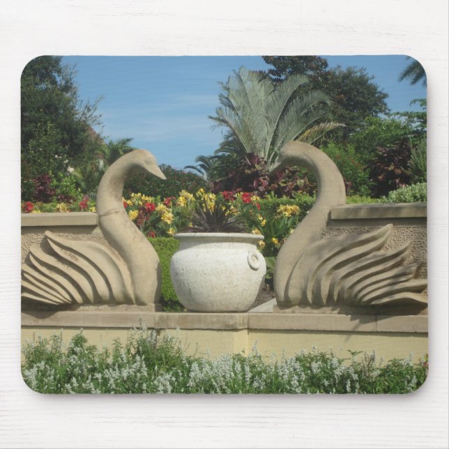 Swans Guarding Hollis Gardens Mouse Pad (Front)
