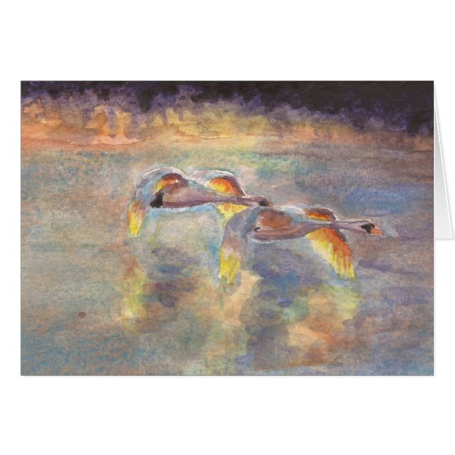 Swans Headed Home at Sunset (Front Horizontal)