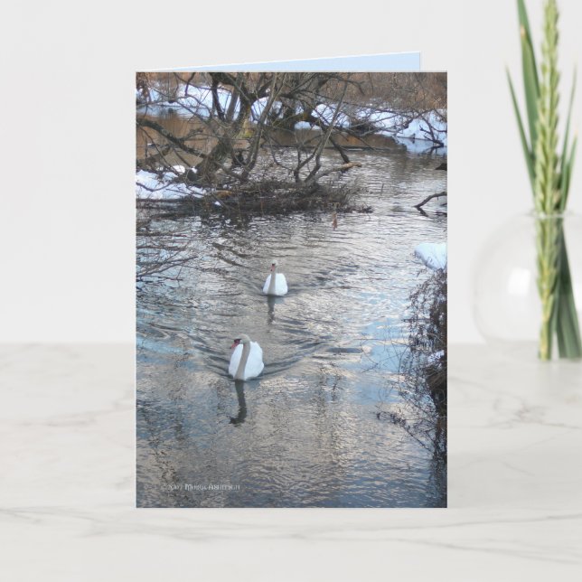 Swans II Card (Front)
