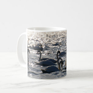 Swans in a group on the water with sparkling s coffee mug