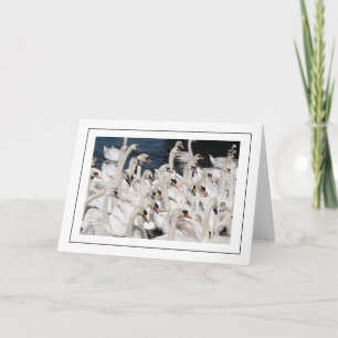 Swans in a pond greeting card