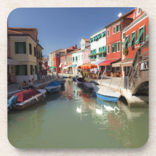 Swans in canal, Burano Island, Venice, Italy Coaster