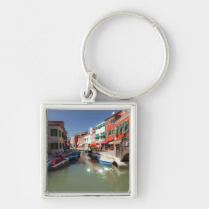 Swans in canal, Burano Island, Venice, Italy Key Ring