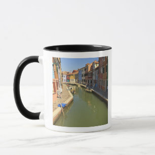Swans in canal, Burano Island, Venice, Italy Mug