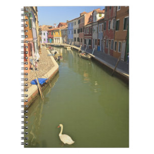 Swans in canal, Burano Island, Venice, Italy Notebook
