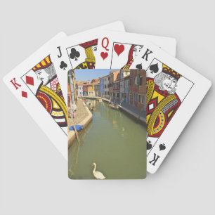 Swans in canal, Burano Island, Venice, Italy Playing Cards