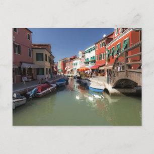 Swans in canal, Burano Island, Venice, Italy Postcard