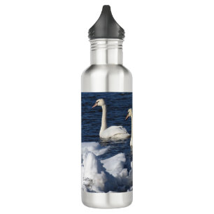 Swans in Icey River 710 Ml Water Bottle