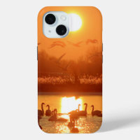 Swans in Lake at Sunset