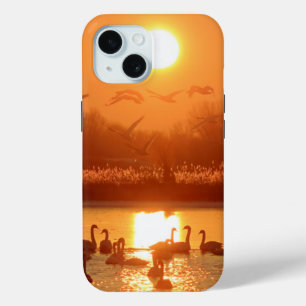 Swans in Lake at Sunset iPhone 15 Case