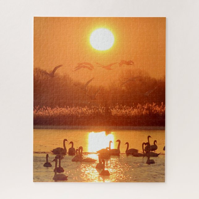 Swans in Lake at Sunset Jigsaw Puzzle (Vertical)