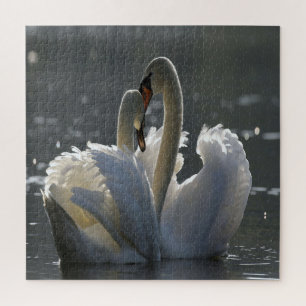 Swans In Love Jigsaw Puzzle