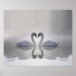 Swans in Love ~ Poster