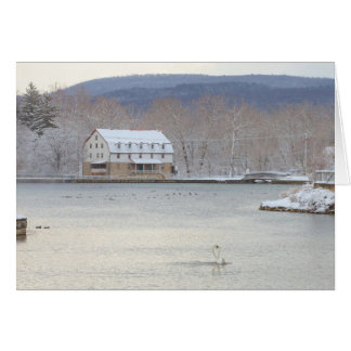 Swans in pond with mill and hills
