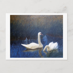Swans in Reeds, Bruno Liljefors Postcard