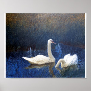 Swans in Reeds, Bruno Liljefors Poster