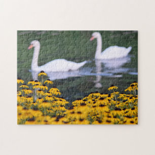 Swans in the Garden - Puzzle